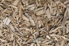biomass boilers Dullatur